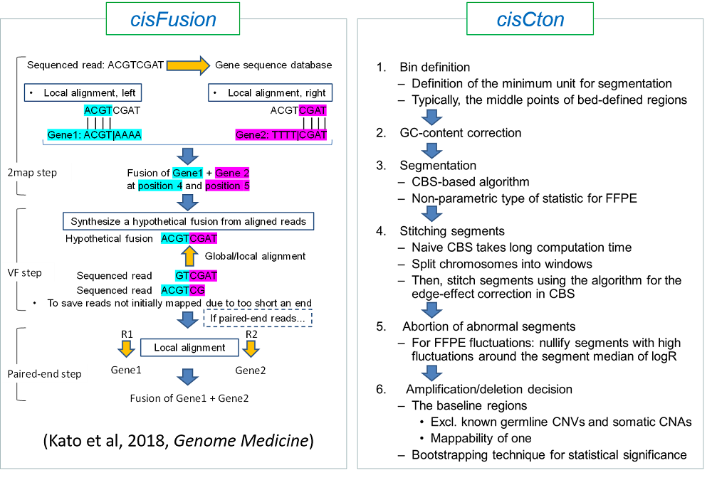 Fig3_cisFusionCton.pdfへのリンク