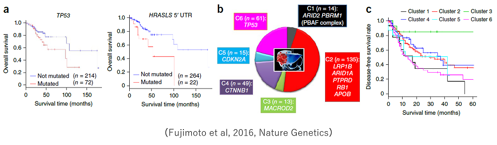 linked to Fig2_Liver.pdf