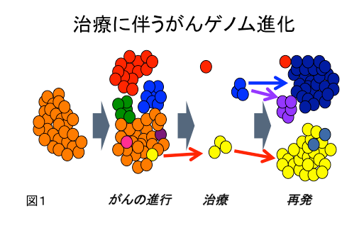 進化しつづける強靭なエコシステムの原動力 