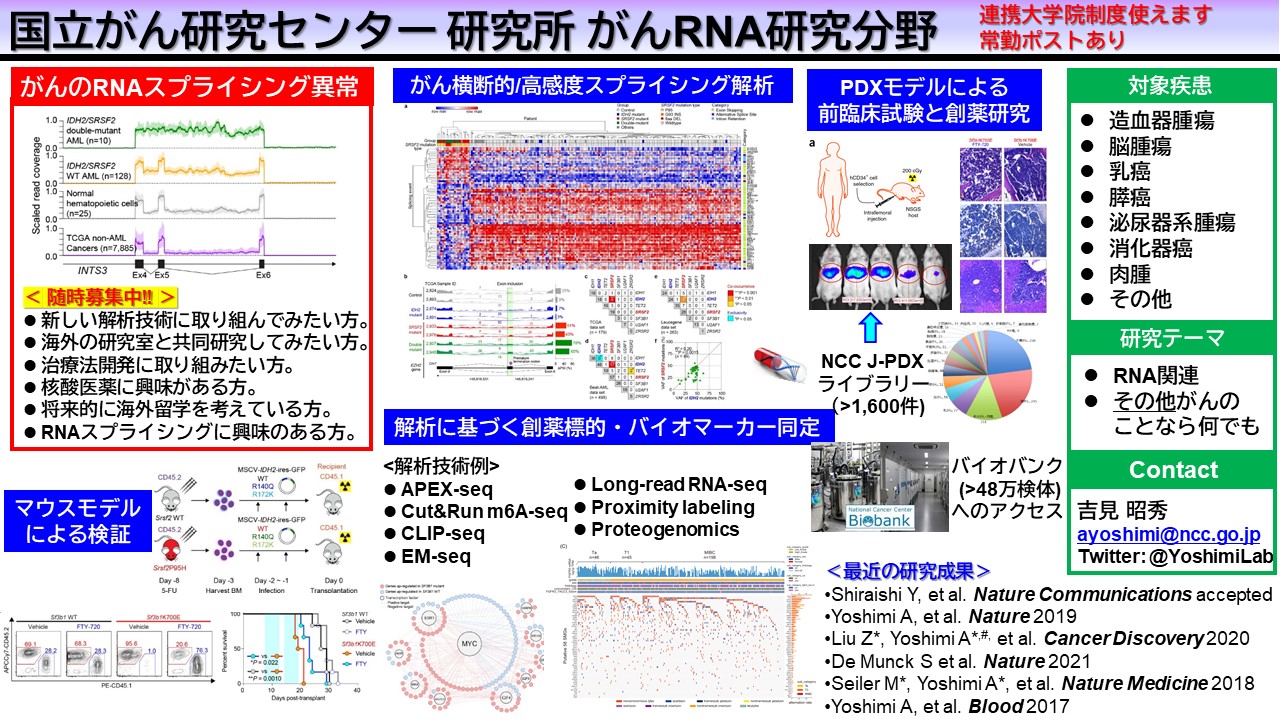 CRR_Japanese_20220829_HP