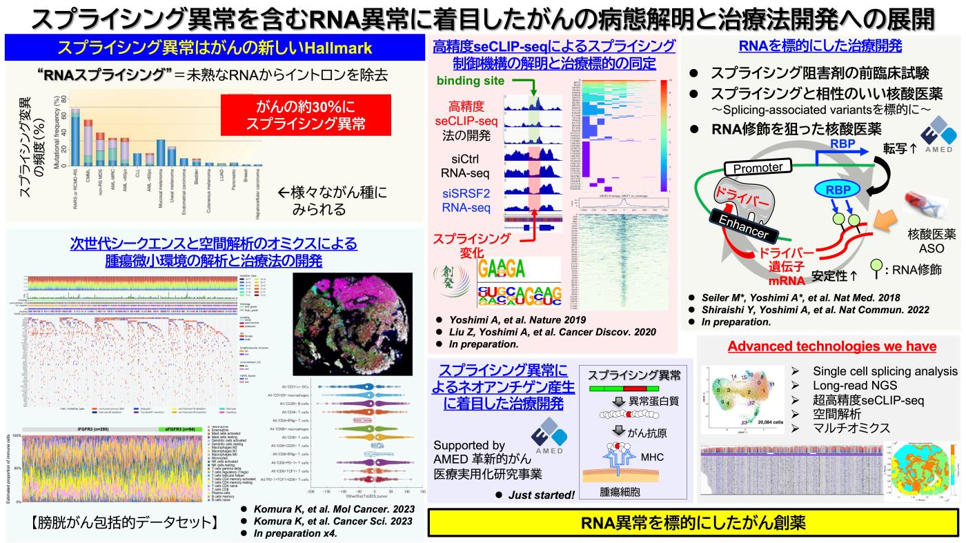 CRR_research_2024.jpg