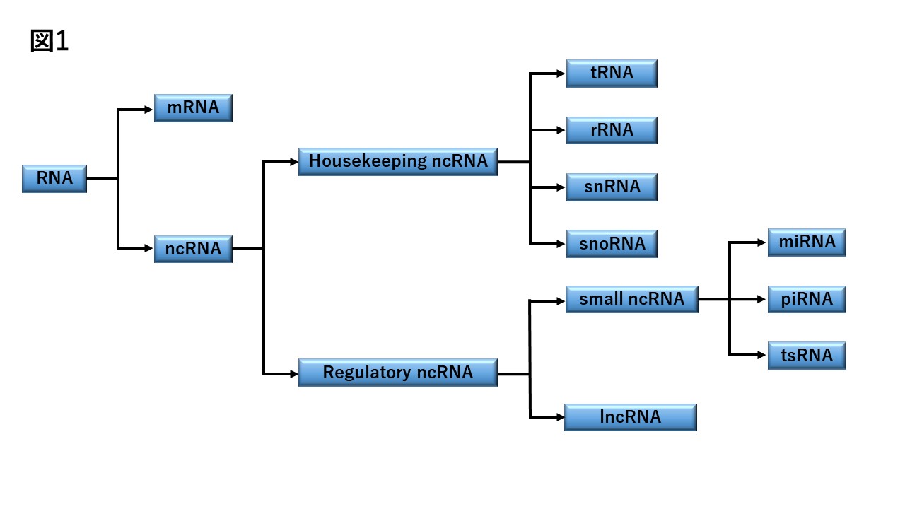 RNA_classification.JPG