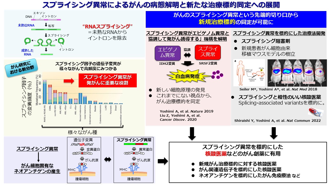 Splicing_Cancer_2022.jpg