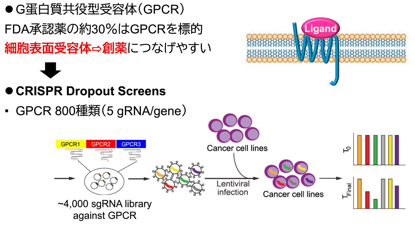 GPCR.jpg