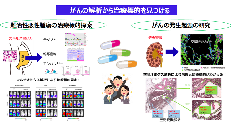 がんの解析から治療標的を見つける