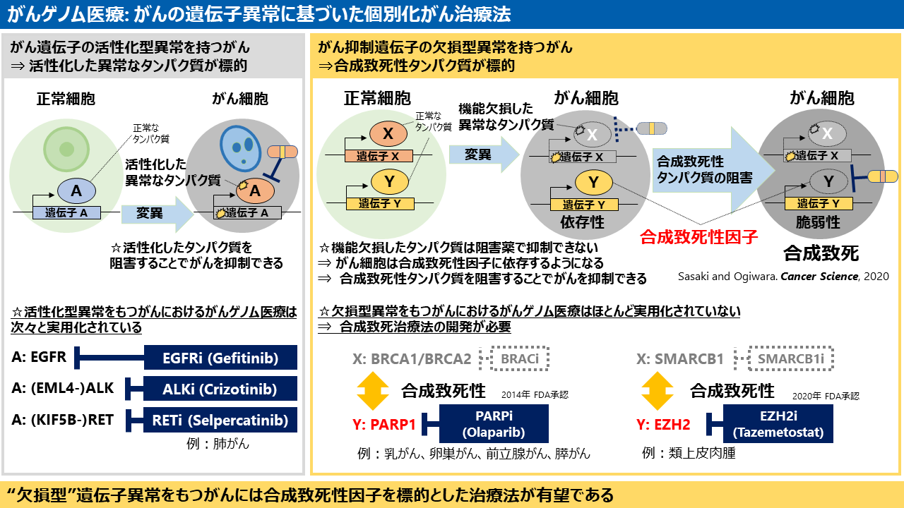 がんゲノム医療1.png