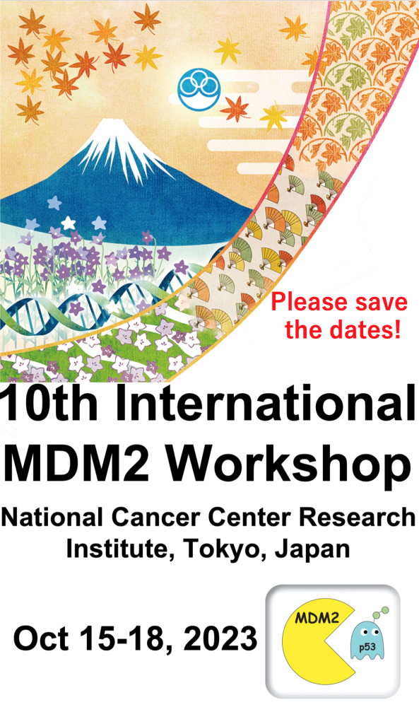 MDM2ワークショップ