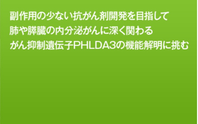 大学病院医療情報ネットワーク研究センター