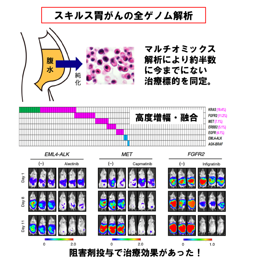 発がん原因の解明