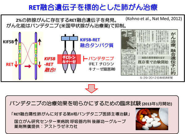 RET融合遺伝子を標的とした肺がん治療