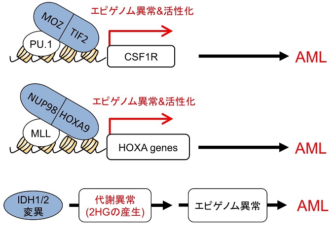 Fig.1