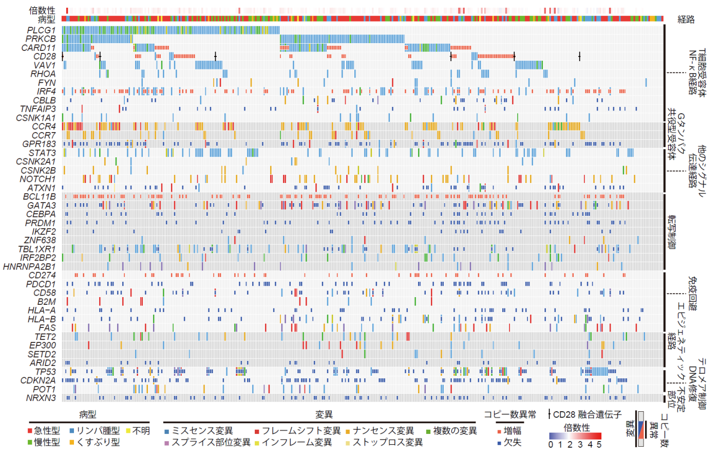 ATLにおける遺伝子異常の全体像