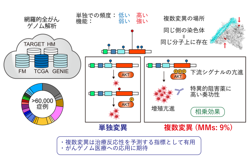 横断的がんマルチオミクス解析