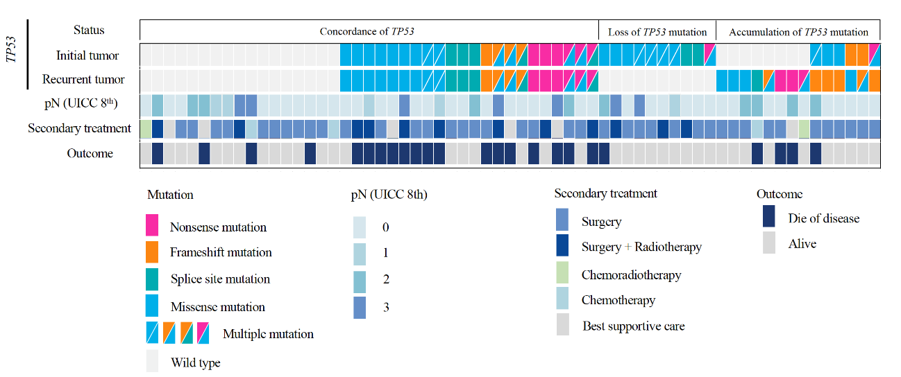 頭頸部扁平上皮がんは他にどこに影響を与える可能性がありますか?
