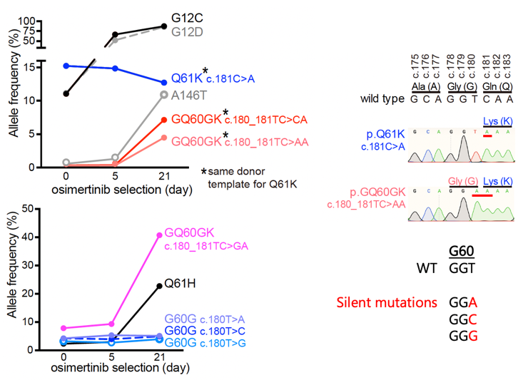 Figure 5_01