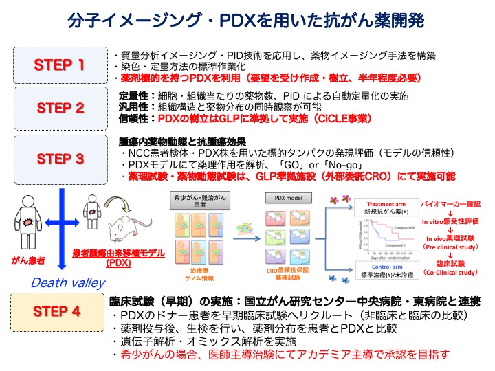 抗がん薬の臨床薬理