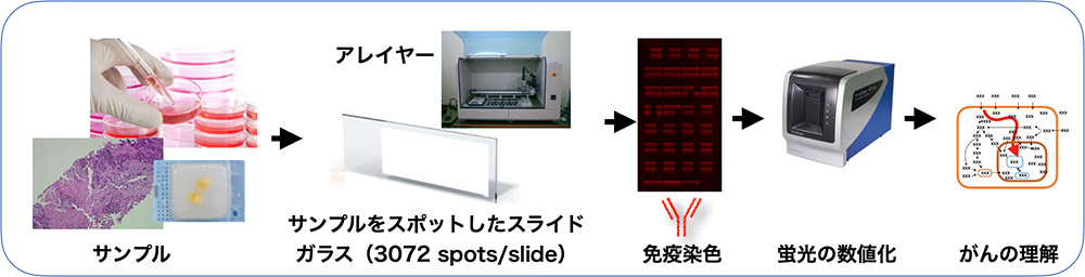 研究室の紹介2