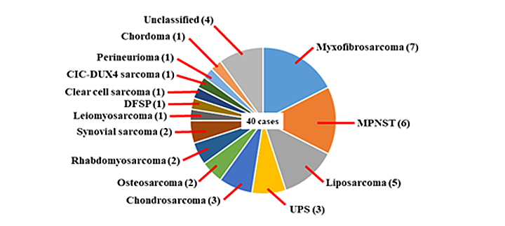 受託解析の対象となる肉腫PDXの組織型と症例数