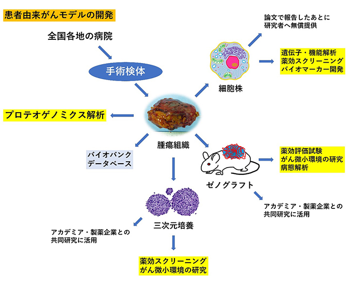 腫瘍組織