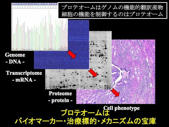 がん研究におけるプロテオーム解析 | 国立がん研究センター 研究所