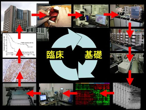 がん研究におけるプロテオーム解析 | 国立がん研究センター 研究所