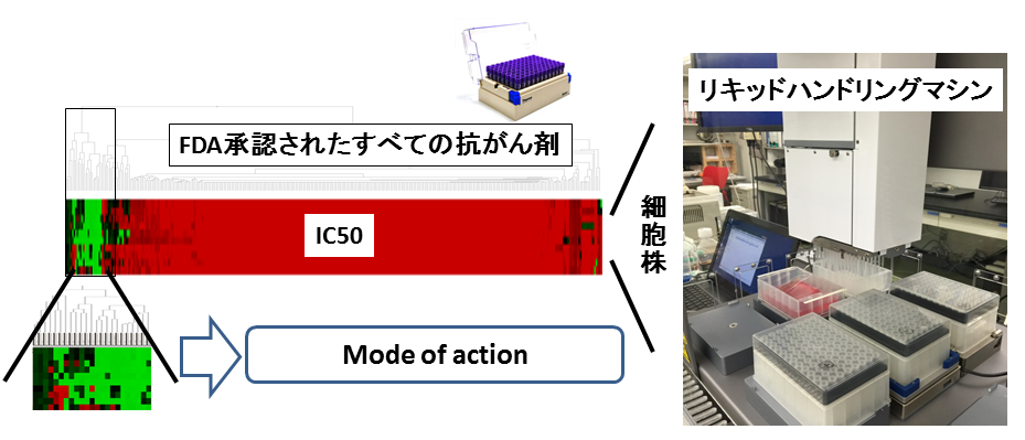 図2：適応拡大に向けたスクリーニング