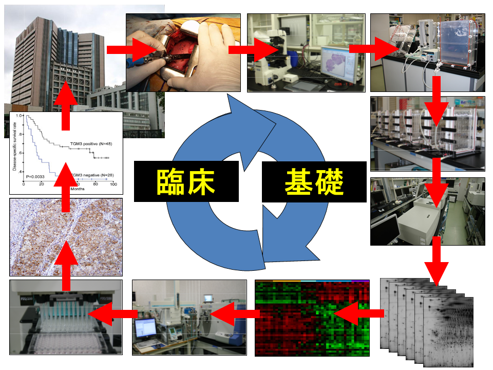 図3：臨床検体をもちいたがんプロテオーム解析