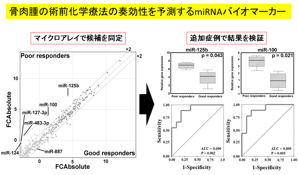 図6：骨肉腫の術前化学療法の奏効性を予測するバイオマーカー