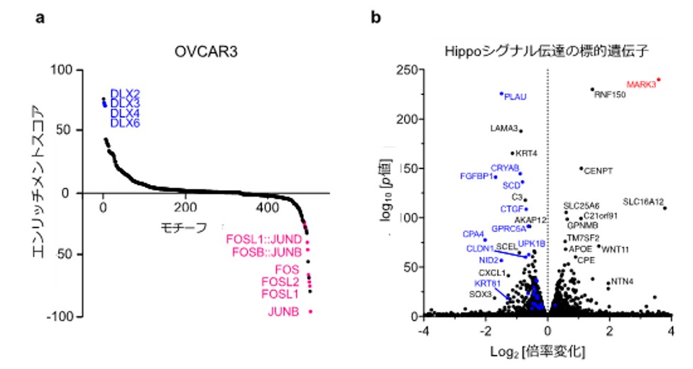 Fig4.jpg